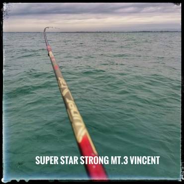 SUPER STAR STRONG Vincent